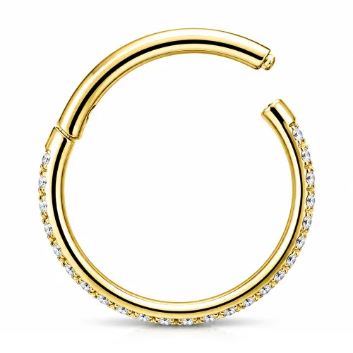 Sterilized Titanium - Gold PVD Triple Row Outward Prong Set CZ Hinged Segment Ring