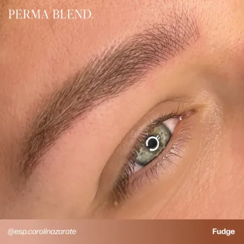 Perma Blend - Fudge 1/2 oz