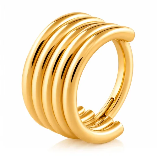 Gold PVD 18k Coated Surgical Steel Hinged Segment Ring