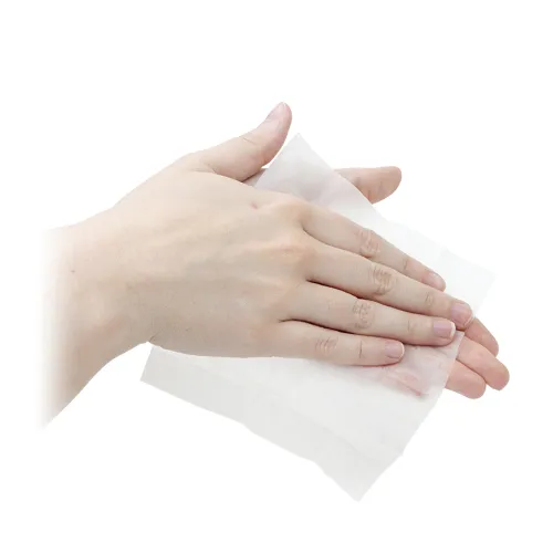 Dyna Safety - BZK Antiseptic Towelettes 100pcs 5